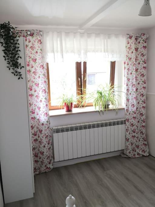 Red Bed Villa Jankowice  Exterior photo